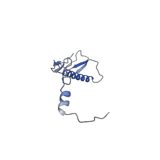 17719_8pk0_0_v1-0
human mitoribosomal large subunit assembly intermediate 1 with GTPBP10-GTPBP7