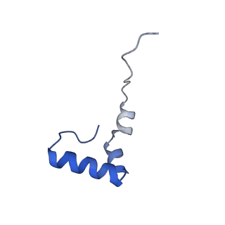 17719_8pk0_2_v1-0
human mitoribosomal large subunit assembly intermediate 1 with GTPBP10-GTPBP7