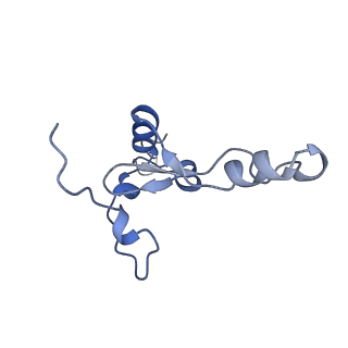 17719_8pk0_3_v1-0
human mitoribosomal large subunit assembly intermediate 1 with GTPBP10-GTPBP7