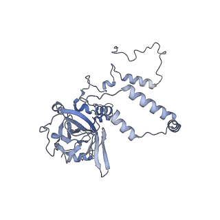 17719_8pk0_6_v1-0
human mitoribosomal large subunit assembly intermediate 1 with GTPBP10-GTPBP7
