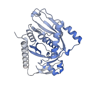 17719_8pk0_7_v1-0
human mitoribosomal large subunit assembly intermediate 1 with GTPBP10-GTPBP7