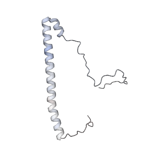 17719_8pk0_8_v1-0
human mitoribosomal large subunit assembly intermediate 1 with GTPBP10-GTPBP7