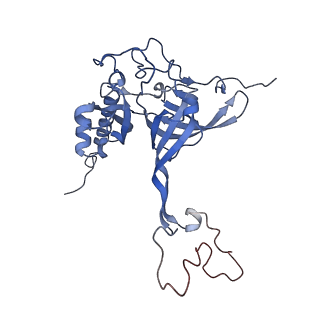 17719_8pk0_E_v1-0
human mitoribosomal large subunit assembly intermediate 1 with GTPBP10-GTPBP7