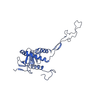 17719_8pk0_F_v1-0
human mitoribosomal large subunit assembly intermediate 1 with GTPBP10-GTPBP7