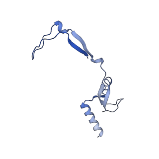 17719_8pk0_H_v1-0
human mitoribosomal large subunit assembly intermediate 1 with GTPBP10-GTPBP7