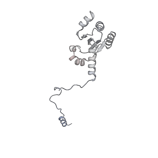 17719_8pk0_I_v1-0
human mitoribosomal large subunit assembly intermediate 1 with GTPBP10-GTPBP7