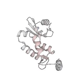 17719_8pk0_J_v1-0
human mitoribosomal large subunit assembly intermediate 1 with GTPBP10-GTPBP7