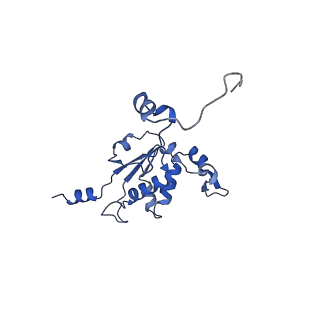 17719_8pk0_K_v1-0
human mitoribosomal large subunit assembly intermediate 1 with GTPBP10-GTPBP7
