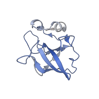 17719_8pk0_L_v1-0
human mitoribosomal large subunit assembly intermediate 1 with GTPBP10-GTPBP7