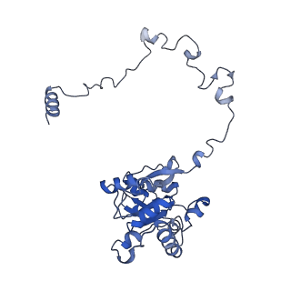 17719_8pk0_M_v1-0
human mitoribosomal large subunit assembly intermediate 1 with GTPBP10-GTPBP7