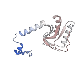 17719_8pk0_N_v1-0
human mitoribosomal large subunit assembly intermediate 1 with GTPBP10-GTPBP7