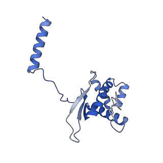 17719_8pk0_O_v1-0
human mitoribosomal large subunit assembly intermediate 1 with GTPBP10-GTPBP7