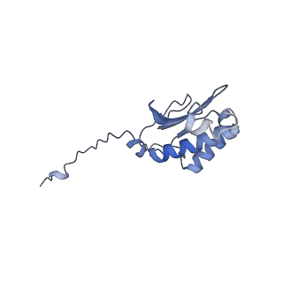 17719_8pk0_P_v1-0
human mitoribosomal large subunit assembly intermediate 1 with GTPBP10-GTPBP7