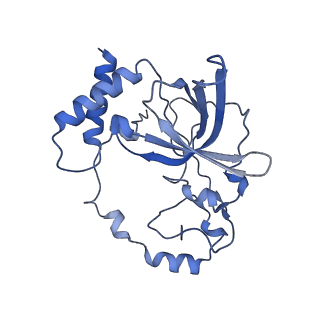 17719_8pk0_Q_v1-0
human mitoribosomal large subunit assembly intermediate 1 with GTPBP10-GTPBP7