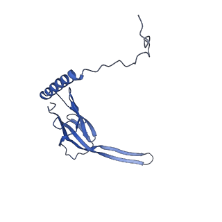 17719_8pk0_S_v1-0
human mitoribosomal large subunit assembly intermediate 1 with GTPBP10-GTPBP7