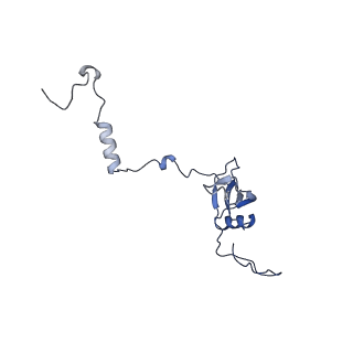 17719_8pk0_U_v1-0
human mitoribosomal large subunit assembly intermediate 1 with GTPBP10-GTPBP7