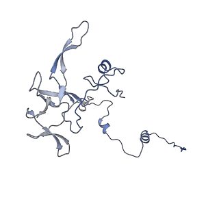 17719_8pk0_V_v1-0
human mitoribosomal large subunit assembly intermediate 1 with GTPBP10-GTPBP7