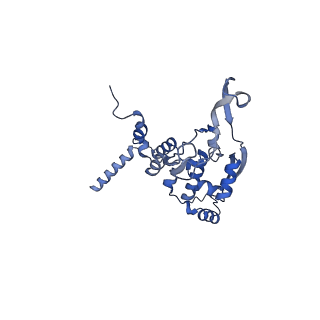 17719_8pk0_X_v1-0
human mitoribosomal large subunit assembly intermediate 1 with GTPBP10-GTPBP7