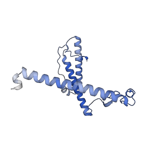 17719_8pk0_Y_v1-0
human mitoribosomal large subunit assembly intermediate 1 with GTPBP10-GTPBP7