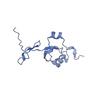 17719_8pk0_Z_v1-0
human mitoribosomal large subunit assembly intermediate 1 with GTPBP10-GTPBP7