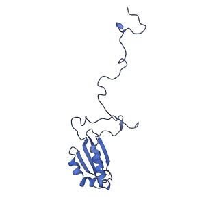 17719_8pk0_b_v1-0
human mitoribosomal large subunit assembly intermediate 1 with GTPBP10-GTPBP7