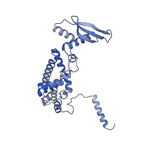 17719_8pk0_c_v1-0
human mitoribosomal large subunit assembly intermediate 1 with GTPBP10-GTPBP7