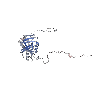 17719_8pk0_d_v1-0
human mitoribosomal large subunit assembly intermediate 1 with GTPBP10-GTPBP7