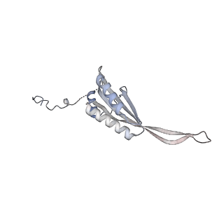 17719_8pk0_f_v1-0
human mitoribosomal large subunit assembly intermediate 1 with GTPBP10-GTPBP7