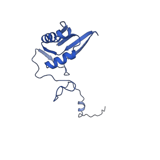 17719_8pk0_g_v1-0
human mitoribosomal large subunit assembly intermediate 1 with GTPBP10-GTPBP7