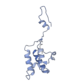 17719_8pk0_h_v1-0
human mitoribosomal large subunit assembly intermediate 1 with GTPBP10-GTPBP7