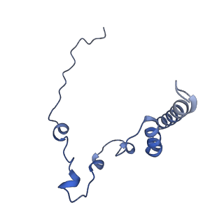 17719_8pk0_i_v1-0
human mitoribosomal large subunit assembly intermediate 1 with GTPBP10-GTPBP7