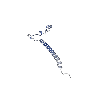 17719_8pk0_j_v1-0
human mitoribosomal large subunit assembly intermediate 1 with GTPBP10-GTPBP7