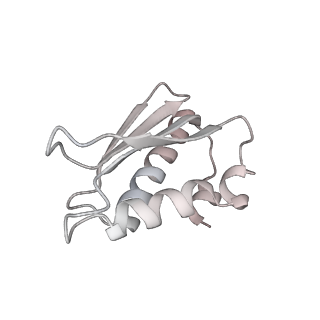 17719_8pk0_k_v1-0
human mitoribosomal large subunit assembly intermediate 1 with GTPBP10-GTPBP7