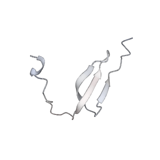 17719_8pk0_m_v1-0
human mitoribosomal large subunit assembly intermediate 1 with GTPBP10-GTPBP7