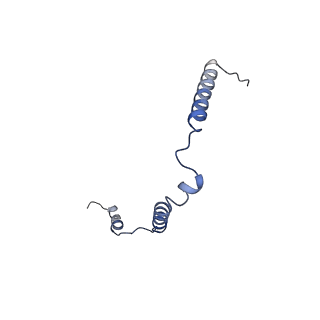 17719_8pk0_o_v1-0
human mitoribosomal large subunit assembly intermediate 1 with GTPBP10-GTPBP7