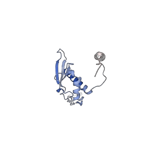 17719_8pk0_p_v1-0
human mitoribosomal large subunit assembly intermediate 1 with GTPBP10-GTPBP7
