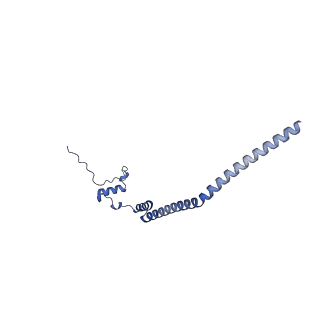 17719_8pk0_q_v1-0
human mitoribosomal large subunit assembly intermediate 1 with GTPBP10-GTPBP7