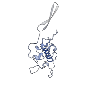 17719_8pk0_r_v1-0
human mitoribosomal large subunit assembly intermediate 1 with GTPBP10-GTPBP7