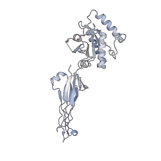 17719_8pk0_t_v1-0
human mitoribosomal large subunit assembly intermediate 1 with GTPBP10-GTPBP7