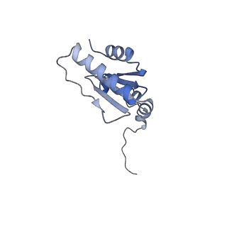 17719_8pk0_u_v1-0
human mitoribosomal large subunit assembly intermediate 1 with GTPBP10-GTPBP7