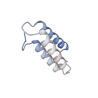 17719_8pk0_v_v1-0
human mitoribosomal large subunit assembly intermediate 1 with GTPBP10-GTPBP7