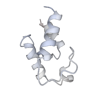17719_8pk0_w_v1-0
human mitoribosomal large subunit assembly intermediate 1 with GTPBP10-GTPBP7