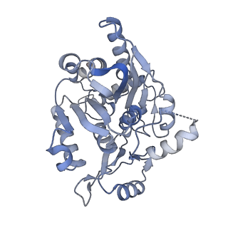 17719_8pk0_x_v1-0
human mitoribosomal large subunit assembly intermediate 1 with GTPBP10-GTPBP7