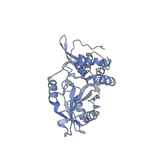 17719_8pk0_z_v1-0
human mitoribosomal large subunit assembly intermediate 1 with GTPBP10-GTPBP7