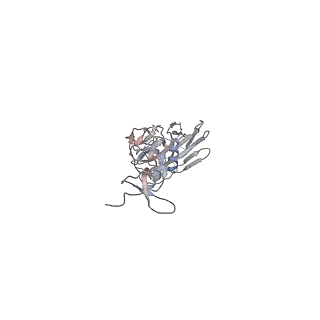 17724_8pk3_A_v1-0
CryoEM reconstruction of hemagglutinin HK68 of Influenza A virus bound to an Affimer reagent