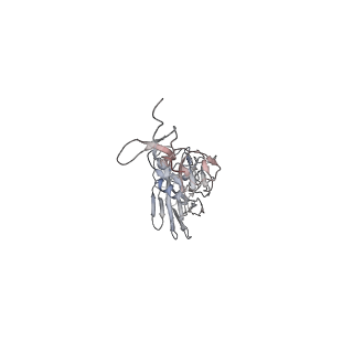 17724_8pk3_C_v1-0
CryoEM reconstruction of hemagglutinin HK68 of Influenza A virus bound to an Affimer reagent