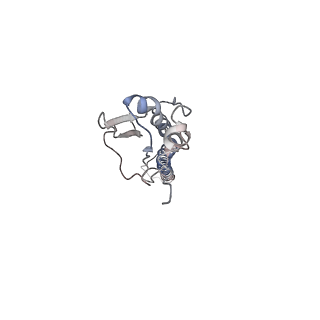 17724_8pk3_D_v1-0
CryoEM reconstruction of hemagglutinin HK68 of Influenza A virus bound to an Affimer reagent
