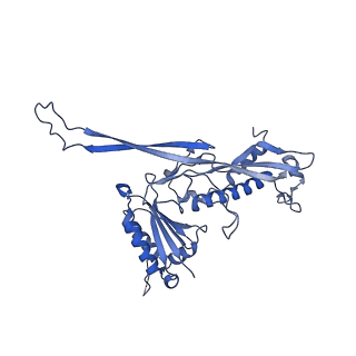 17739_8pkh_AB_v1-3
Borrelia bacteriophage BB1 procapsid, fivefold-symmetrized outer shell