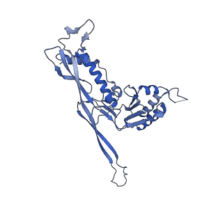 17739_8pkh_AC_v1-3
Borrelia bacteriophage BB1 procapsid, fivefold-symmetrized outer shell