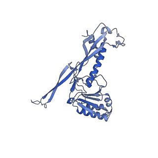 17739_8pkh_AD_v1-3
Borrelia bacteriophage BB1 procapsid, fivefold-symmetrized outer shell